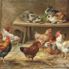 Схема вышивки «птичий двор»