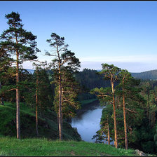 Схема вышивки «тайга»