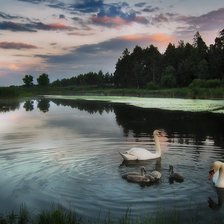 Схема вышивки «летний вечер»