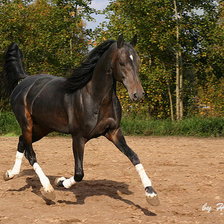 Схема вышивки «скакун»