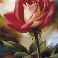 Схема вышивки «роза»