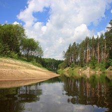 Схема вышивки «сосны возле реки»