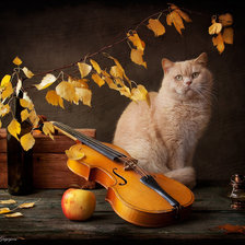 Схема вышивки «звучала музыка»