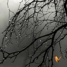 Схема вышивки «дождь бабочки»