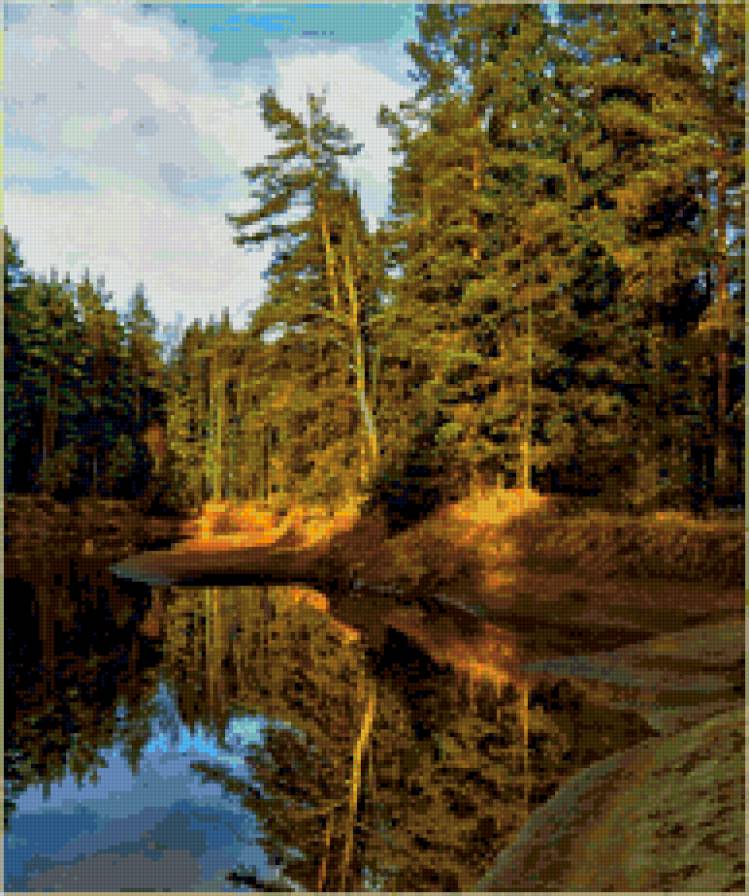 сосны на берегу реки - река, пейзаж. природа. сосны. бор - предпросмотр