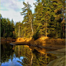 Схема вышивки «сосны на берегу реки»