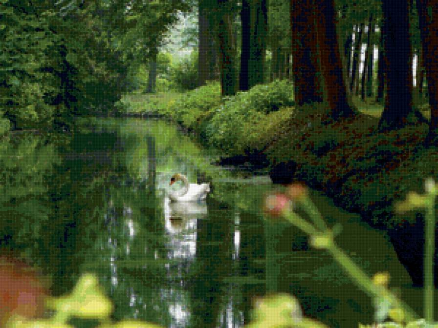 одинокий лебедь - природа. озеро, лебеддь, пейзаж - предпросмотр