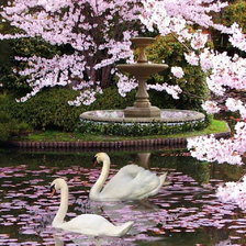 Схема вышивки «Лебеди»