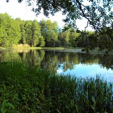 Схема вышивки «река Усманка»