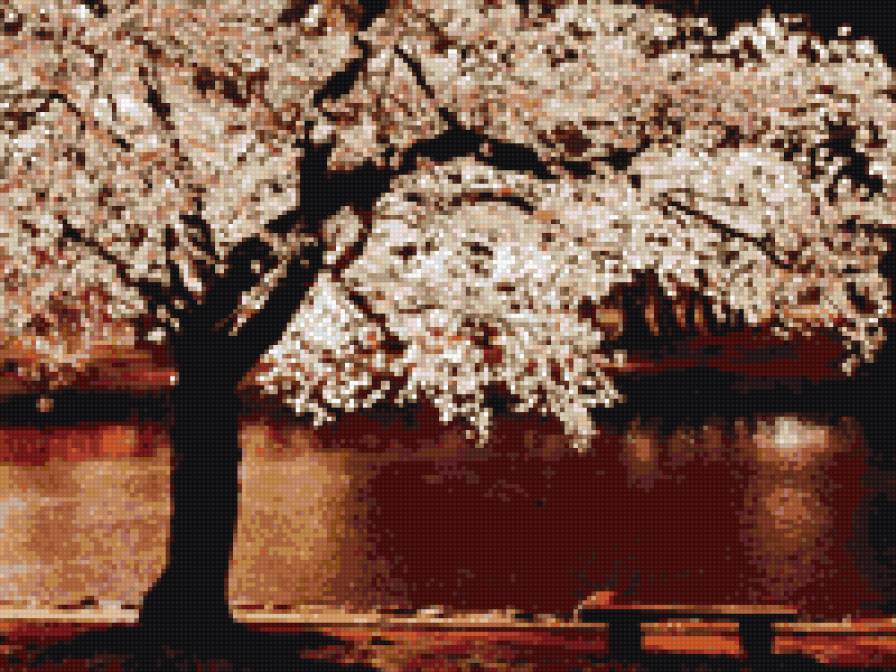 дерево - дерево - предпросмотр