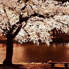 Схема вышивки «дерево»