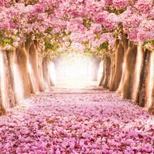 Схема вышивки «аллея цветов»