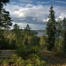 Схема вышивки «гуща леса»