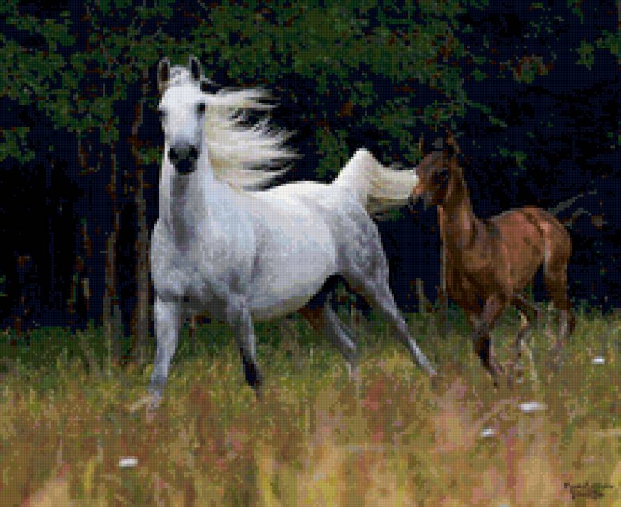 лошадь и жеребенок - животные, лошади - предпросмотр