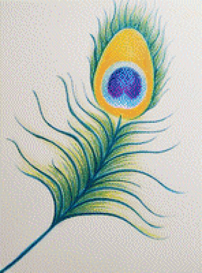 Перо павлина - индия, перо, павлин - предпросмотр