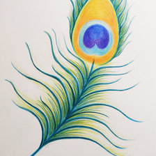 Схема вышивки «Перо павлина»