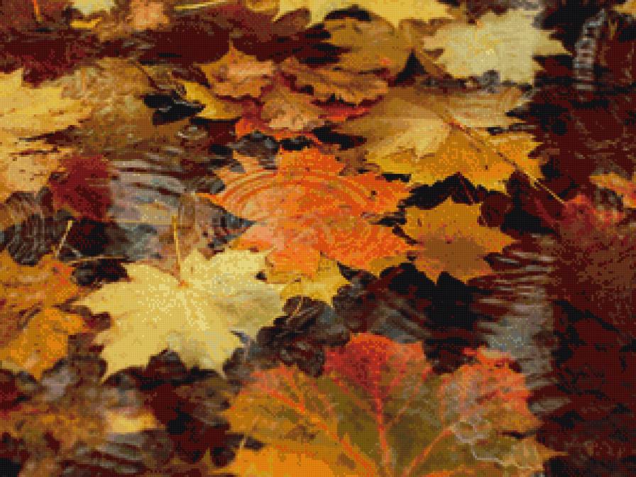 осенний дождь - осень, дождь, листья, лужа - предпросмотр