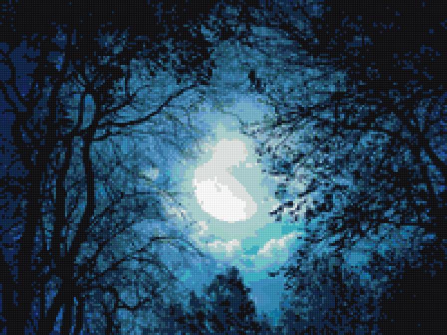 полнолуние - ночь, небо, луна - предпросмотр