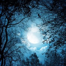 Схема вышивки «полнолуние»