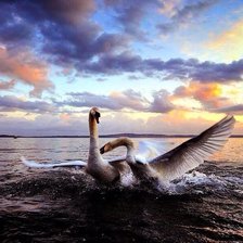 Схема вышивки «хос хун»