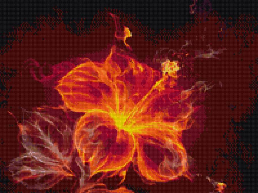 огненный цветок - предпросмотр