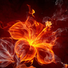 Схема вышивки «огненный цветок»