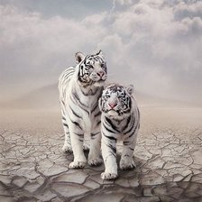 Схема вышивки «котики»