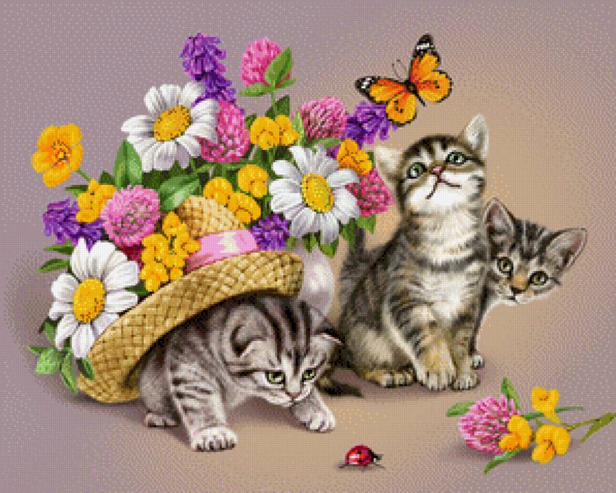 котята - животные, кошки - предпросмотр