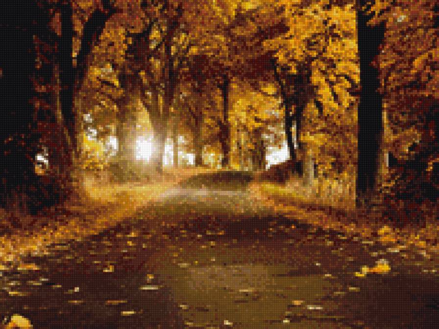 дорога в осень - дорога, лсень, листья, деревья - предпросмотр