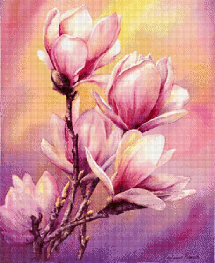 Магнолия - цветы - предпросмотр