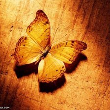 Схема вышивки «бабочка»