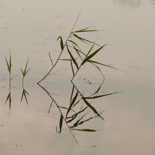 Схема вышивки «в японском стиле - от самой природы»