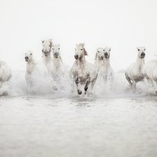 Схема вышивки «лошади 3»