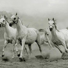 Схема вышивки «лошади 5»