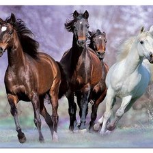 Схема вышивки «лошади 8»