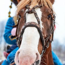 Схема вышивки «Гривис»