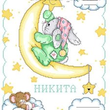 Схема вышивки «метрика»