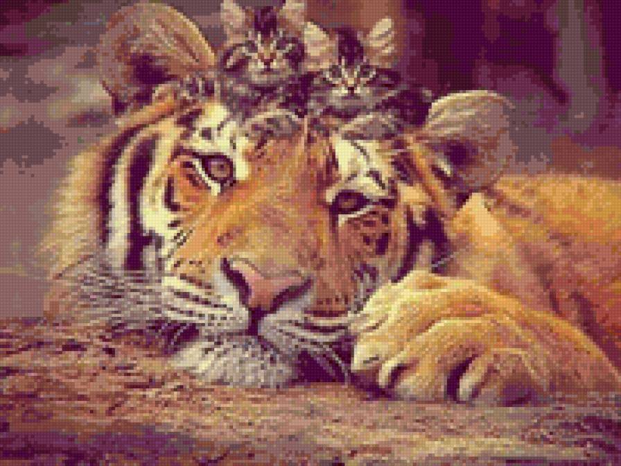 Дружба - предпросмотр