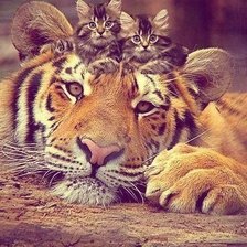 Схема вышивки «Дружба»