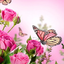 Схема вышивки «Бабочка»