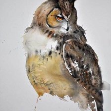 Схема вышивки «cова»