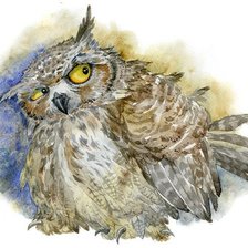 Схема вышивки «сова»