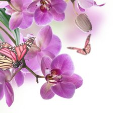 Схема вышивки «№898816»