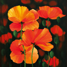 Схема вышивки «маки»