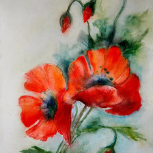 Схема вышивки «маки»