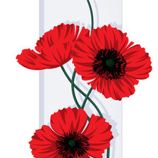 Схема вышивки «маки2»