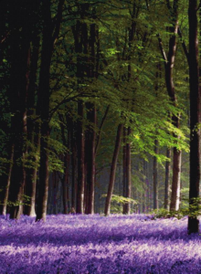 весенний лес - цветы, деревья, весна, лес - предпросмотр