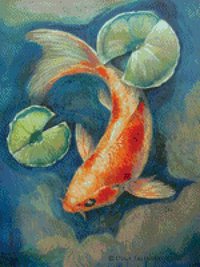 карп 1 - предпросмотр