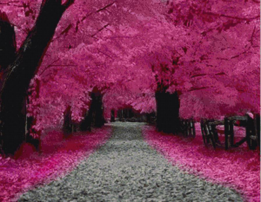 весенний лес - весна, лес, цветы - предпросмотр