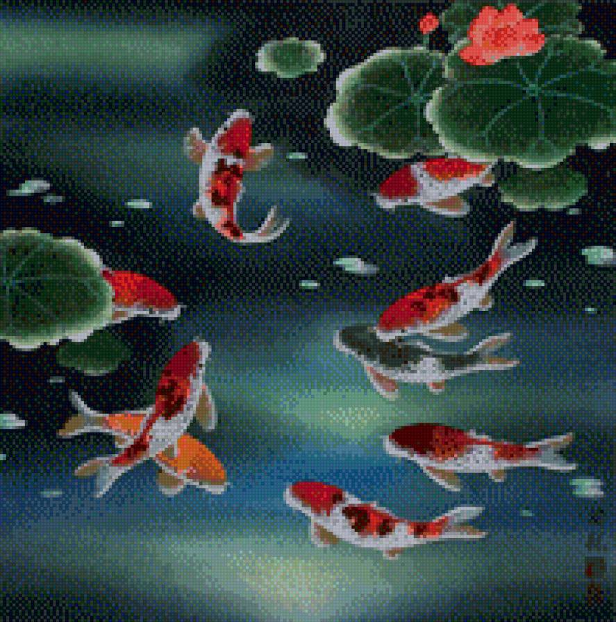 карпы 1 - предпросмотр